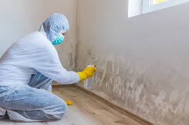 Best Commercial Mold Inspection  in Warsaw, IN