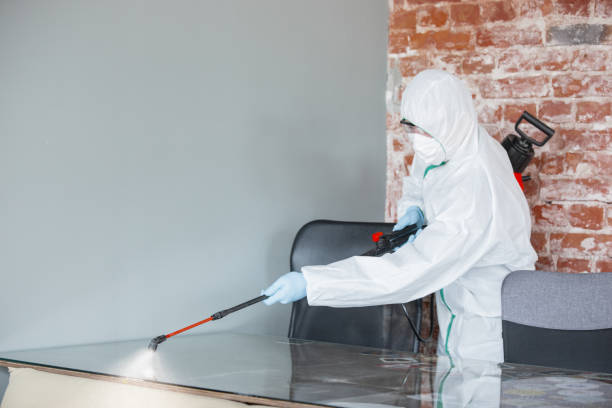 Why You Should Choose Our Mold Remediation Services in Warsaw, IN